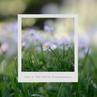 The Essence of Love with Katische Haberfield (3)