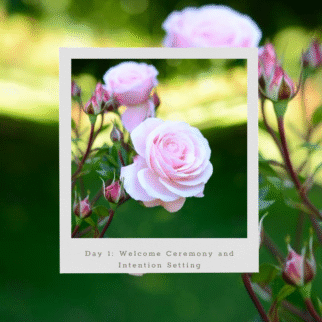 The Essence of Love with Katische Haberfield (6)
