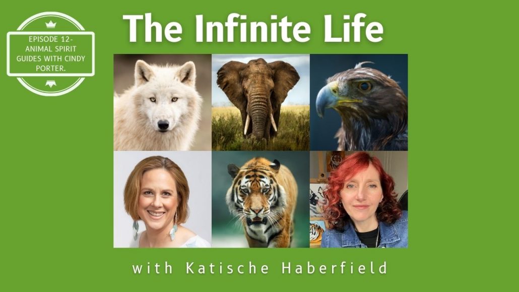 Who are my spirit animal guides? How do I find out? What does it mean? •  Katische Haberfield