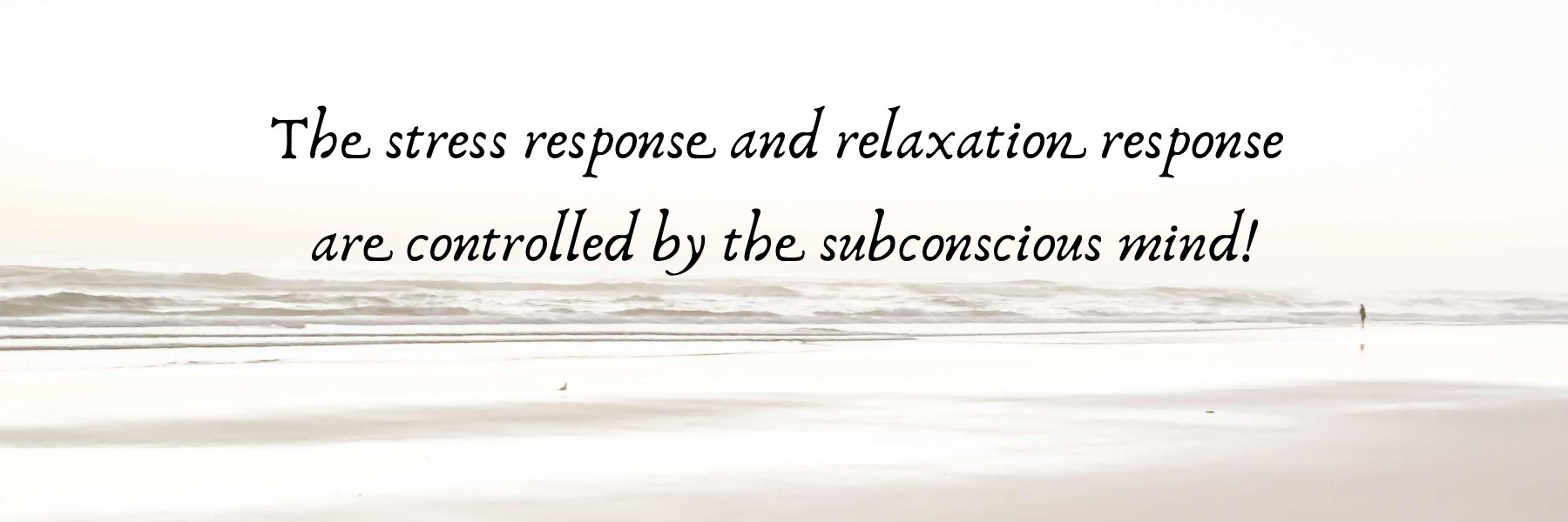 stress response